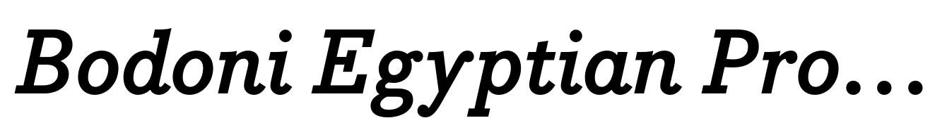 Bodoni Egyptian Pro Bold Italic